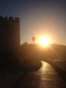 1091523_10153034105805251_412185505_o