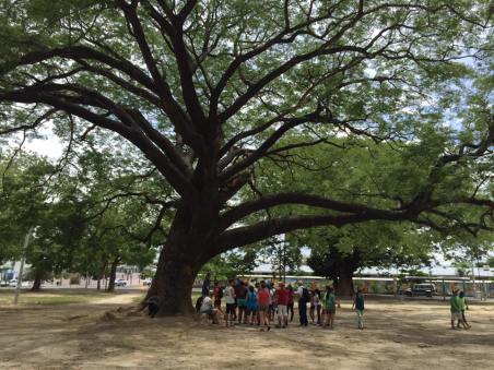 11755219_1599949280293667_8267933351295241512_n